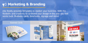 Marketing and Branding